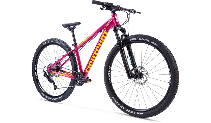 purple mountain bike