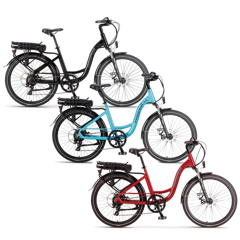 e bike 700wh