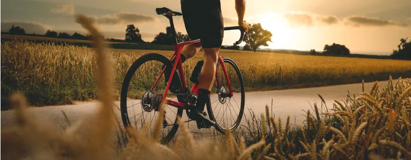 Endurance road bikes