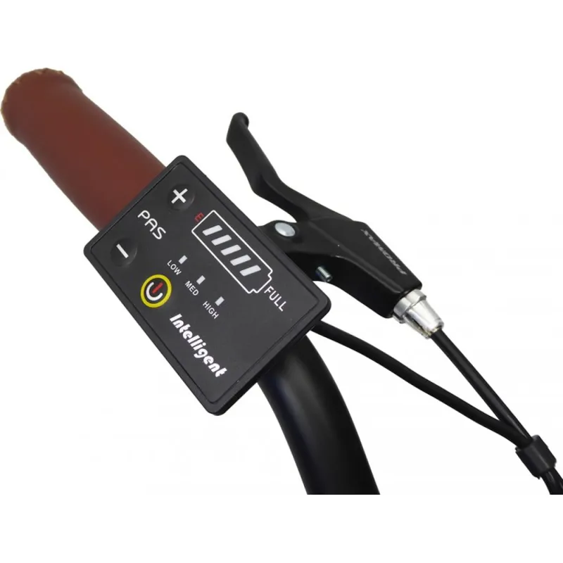 FreeGo Raptor 5.5Ah Electric Bike-2