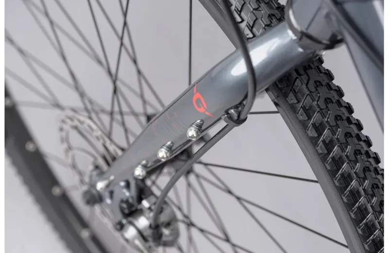 Genesis Flyer Single Speed Bike in Grey-4