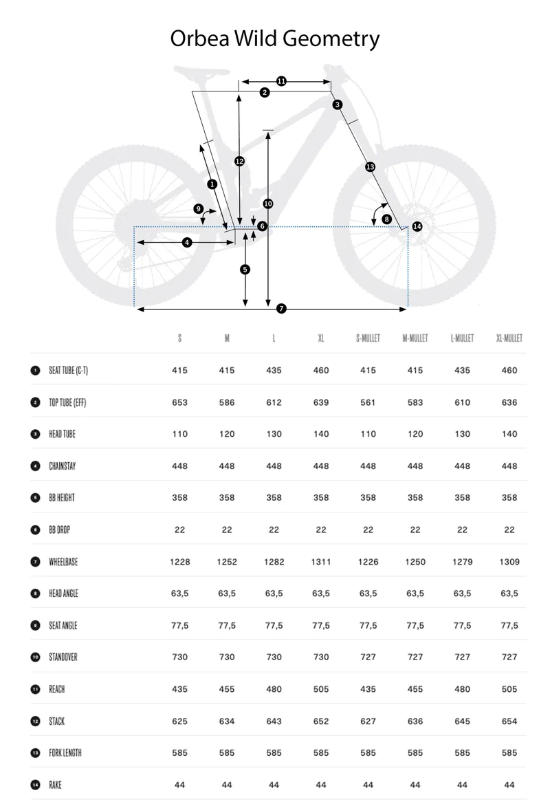 2025 Orbea Wild geometry