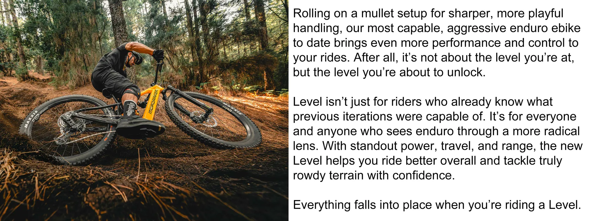 2026 Mondraker Level 2