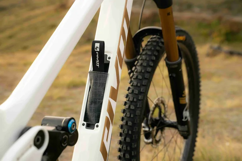 2025 Pivot Cycles Firebird Pro X0 Eagle Trans Air in White/Gold-12