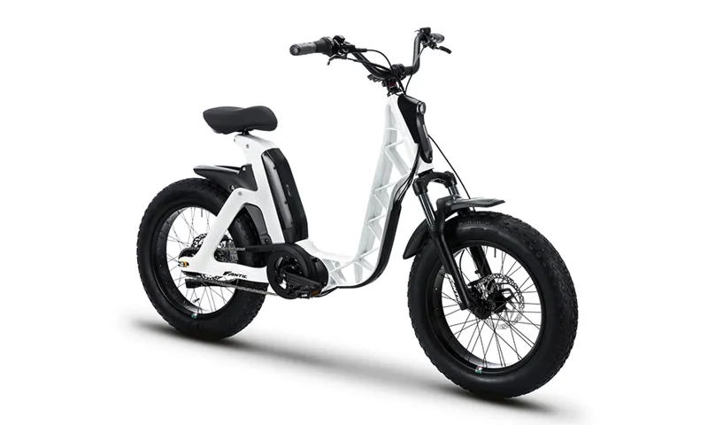 Fantic Issimo Fun Electric Hybrid Bike-3