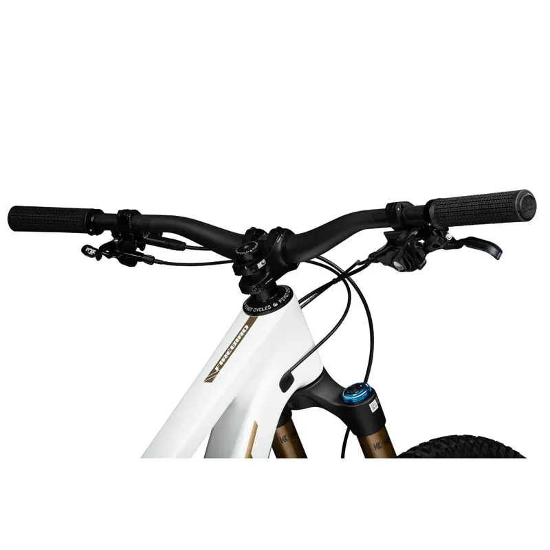 2025 Pivot Cycles Firebird Pro X0 Eagle Trans Air in White/Gold-5