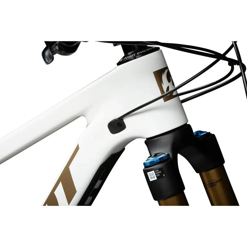 2025 Pivot Cycles Firebird Pro X0 Eagle Trans Air in White/Gold-4