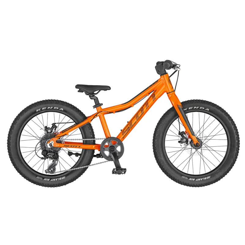 2020 Scott Roxter 20 Kids Mountain Bike