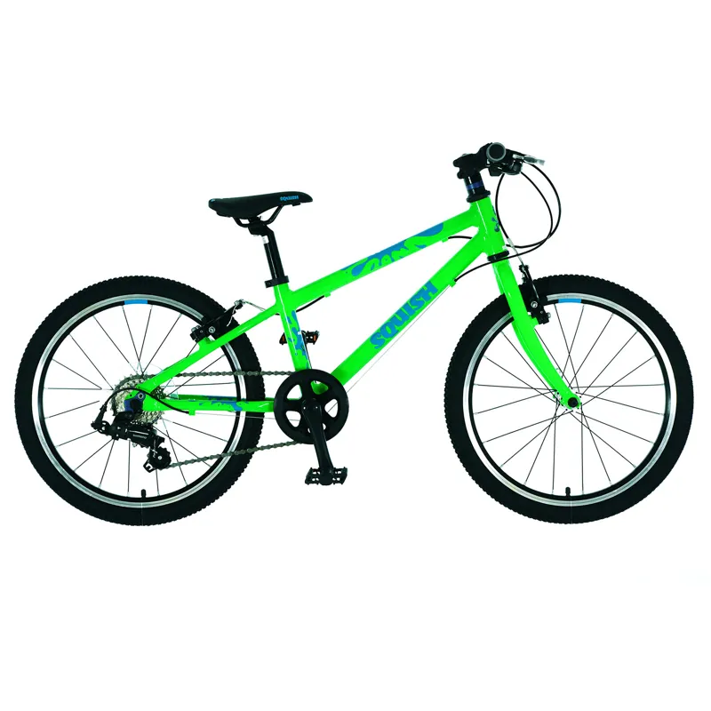 Squish 20 Green/Blue Kids Bike